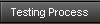 Testing Process